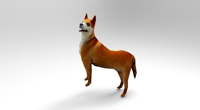 Dog Rigged and Animated