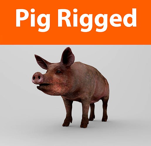 Pig Rigged Model