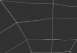 Spider Web