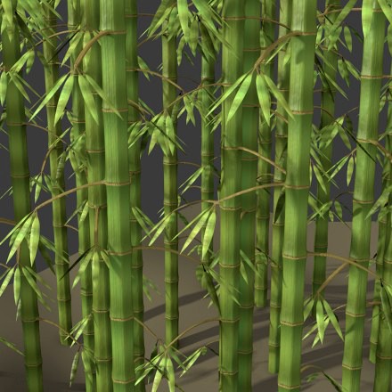 Nature bamboo rc1