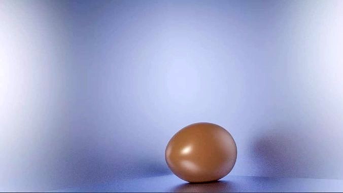 An Egg
