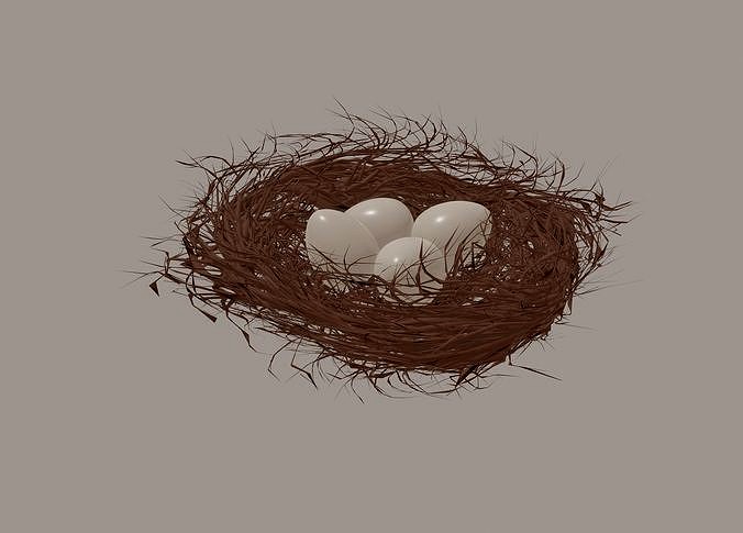 Bird Nest