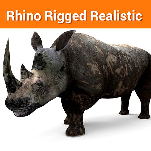 3D Dirty Rhino Model Rigged  game ready