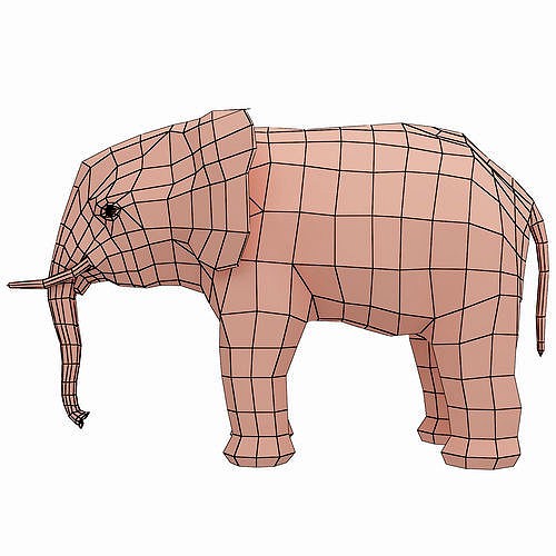 elephant base mesh