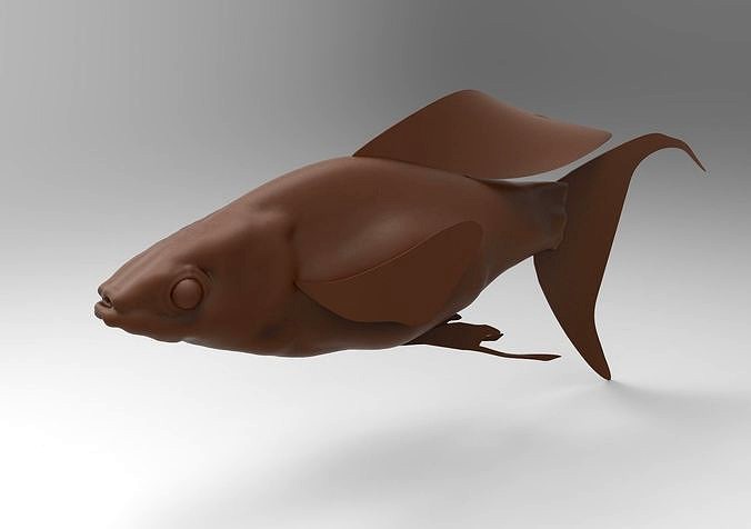 fish mod2 | 3D