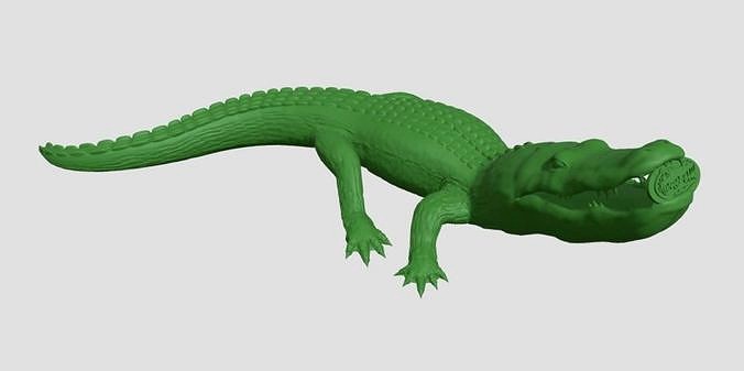 crocodile alligator | 3D