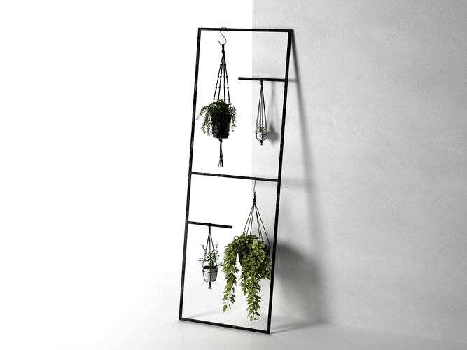 Leaning Display Ladder with Hanging Plants