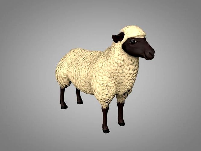 Sheep or Ram