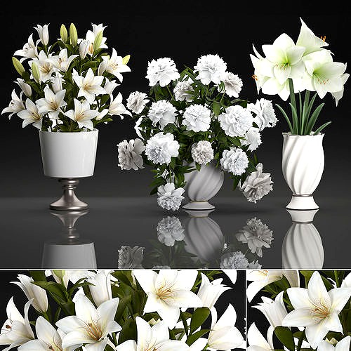 Bouquet of white flowers in a vase for decoration 109