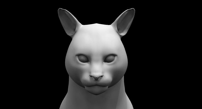 cat 3d model