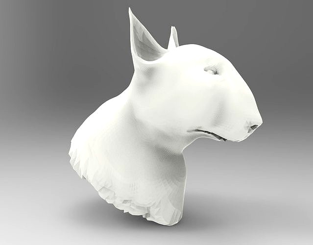 Bullterrier bull terrier dog head