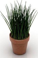 Bucket 3D Model