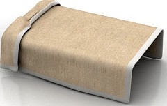 Veil 3D Model