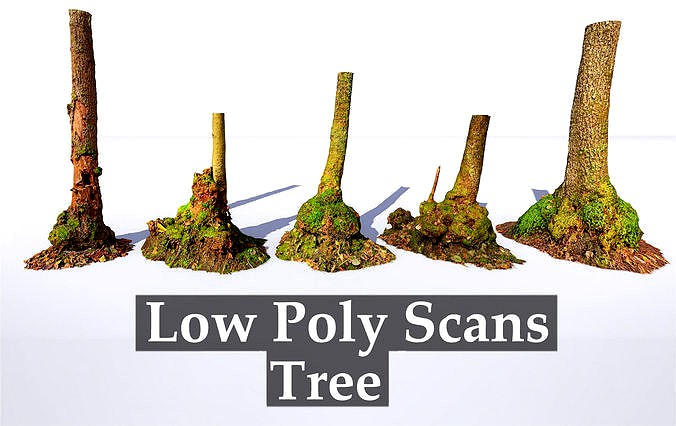Mossy Tree trunks- Processed Scans PBR 4K