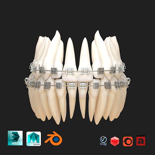 Teeth 3D Print