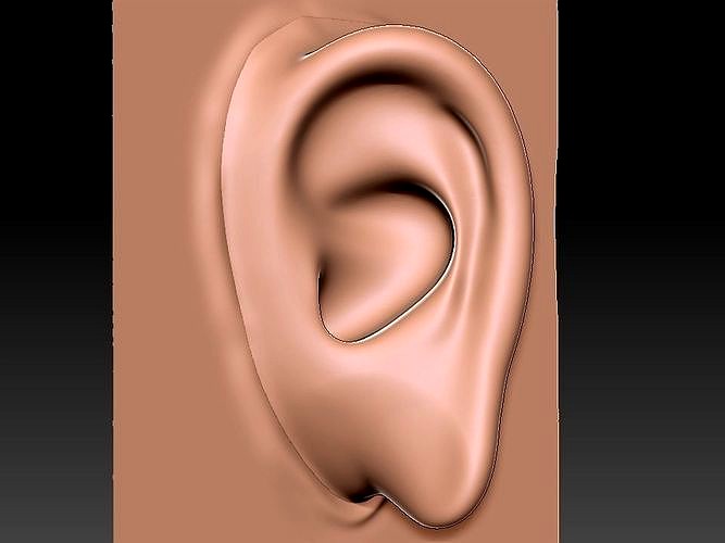 3D EAR