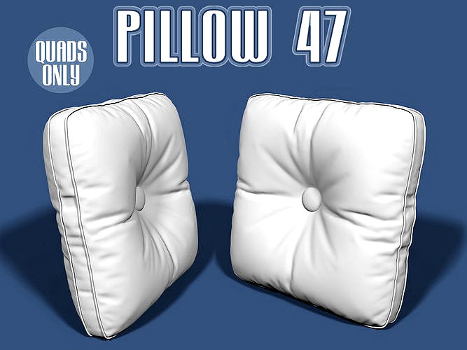 Pillow 47