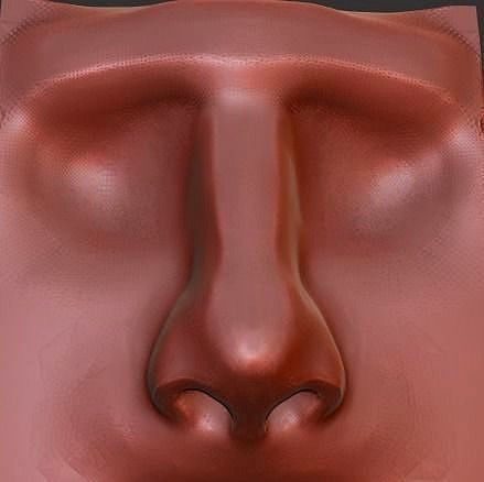 Human Nose Realistic