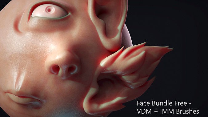 Zbrush - Free - Face IMM and VDM Bundle