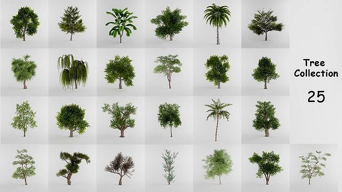 Tree Collection