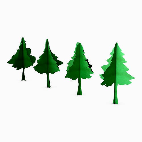 Conifer Tree Paper v 1