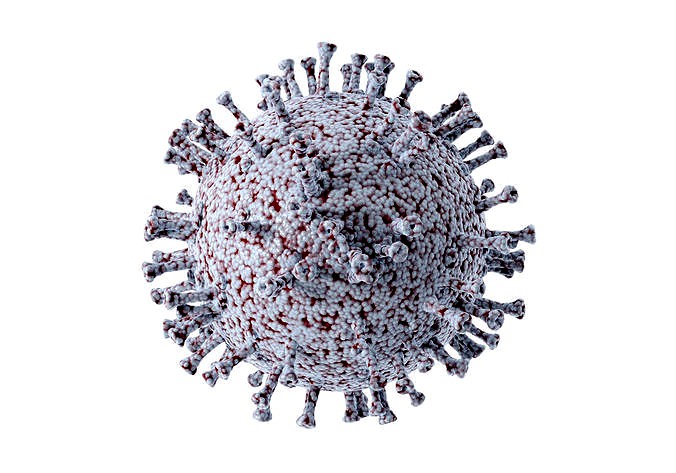 Coronavirus n-cov 2019 model with blood cells pandemic