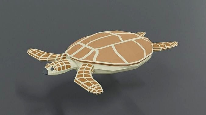 Low Poly Cartoon Loggerhead Sea Turtle