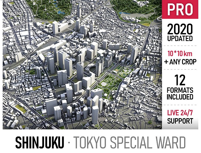 Shinjuku - Tokyo special ward