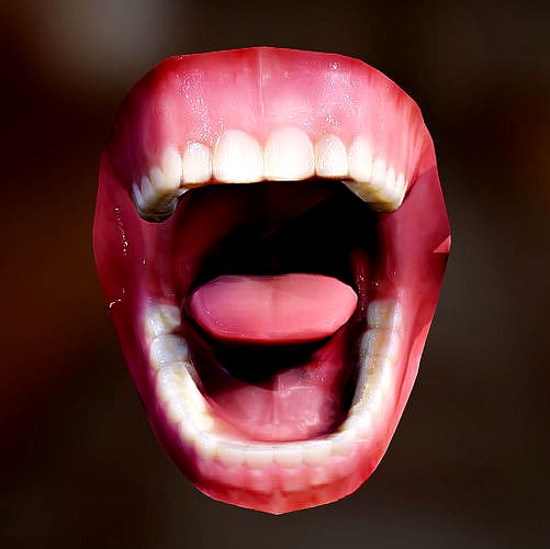 Human Mouth Lowpoly