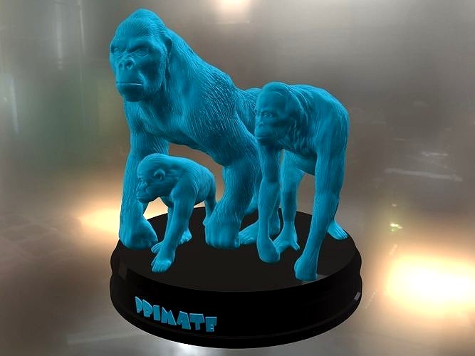 Primate | 3D