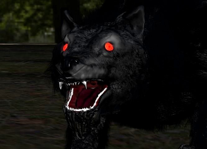 Wild scary wolf