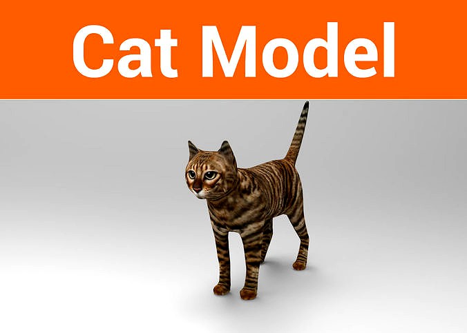 3d Cat wild low poly model