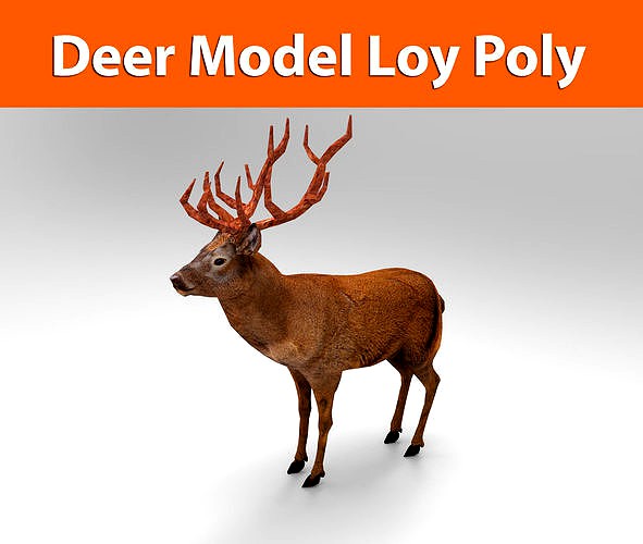 Red Game ready low poly deer model