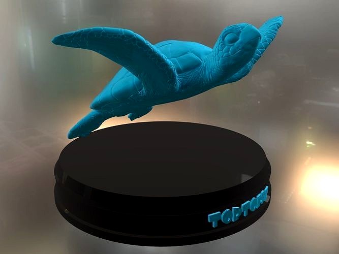 Tortoise | 3D