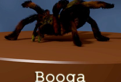 Booga
