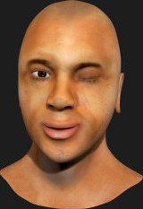 Human Head Model