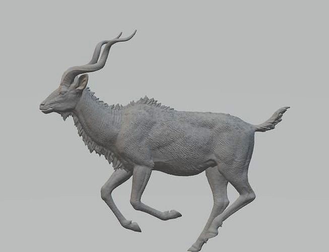 Kudu antelope 3D model | 3D