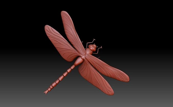 dragonfly | 3D