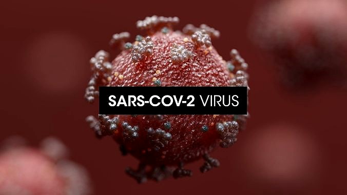 Covid-19 Coronavirus SARS-CoV-2