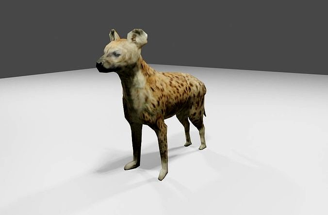 Hyena low and high poly - Hiena