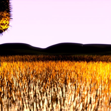 Grassy Field