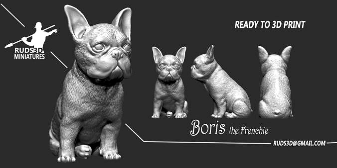 Frenchie Bulldog | 3D