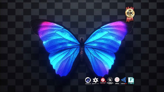 Butterfly