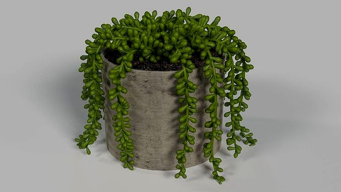 Faux Potted Burros Tail 6 inch