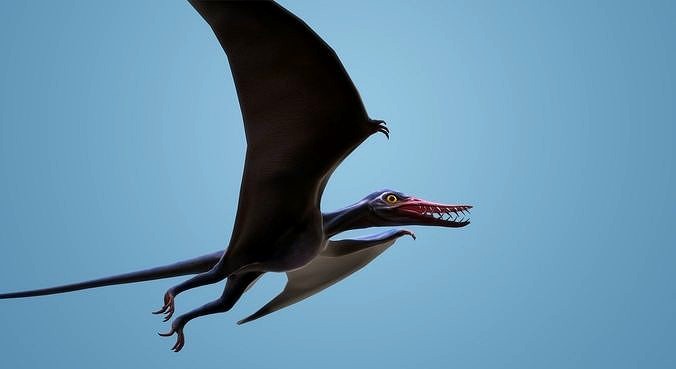 Rhamphorhynchus with Animation