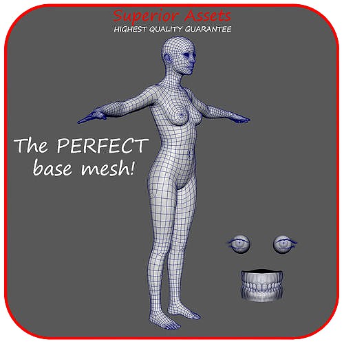 Realistic Woman - The Perfect Base Mesh