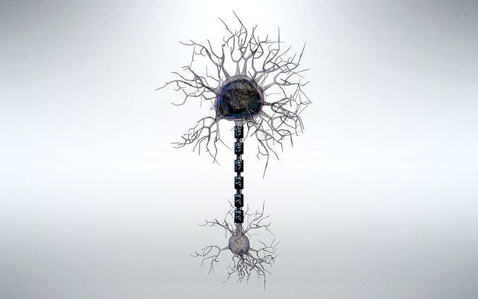 Neuron