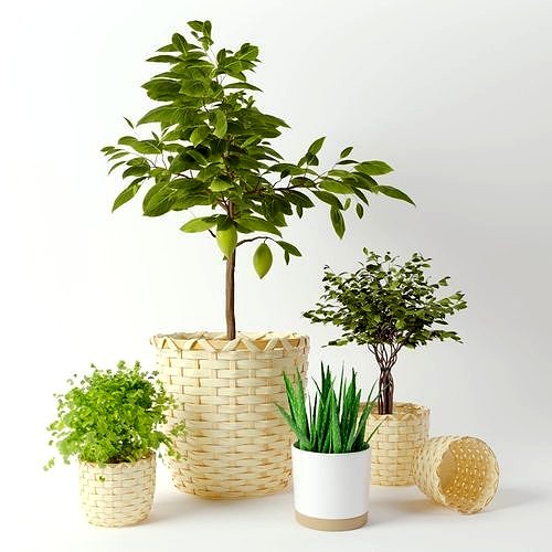 KAFFEBONA Plant Pot by IKEA 3d model