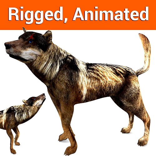 3d Wolf rigged and animated