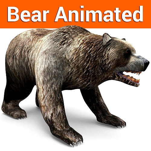 Bear Rigged and animated 3D